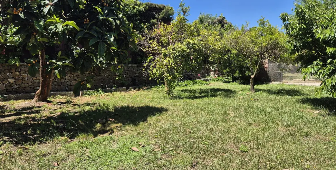 Продажа финки в Alhaurín el Grande 32