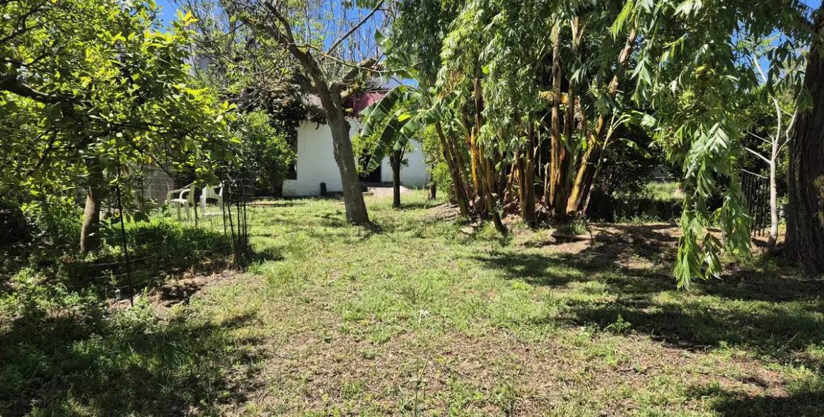 Продажа финки в Alhaurín el Grande 33