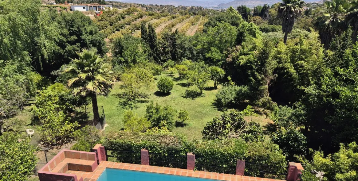 Продажа финки в Alhaurín el Grande 43