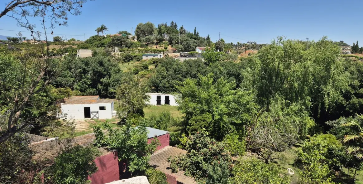 Продажа финки в Alhaurín el Grande 46