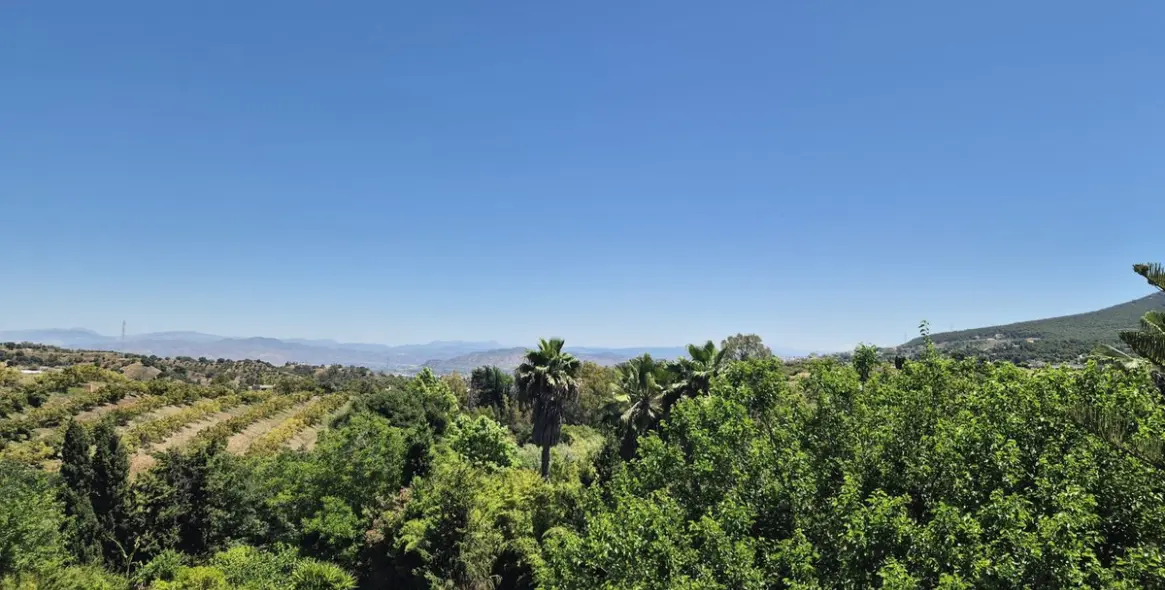 Продажа финки в Alhaurín el Grande 50