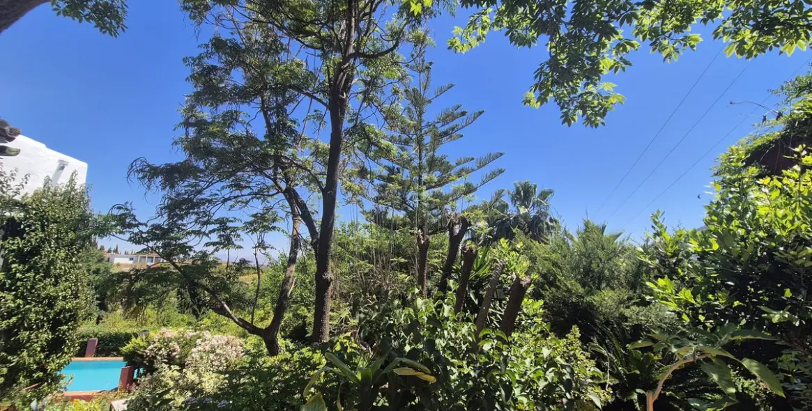 Продажа финки в Alhaurín el Grande 51