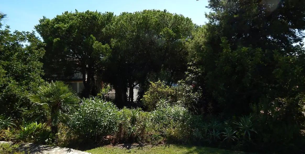 Продажа  жилого участка в Marbella 4