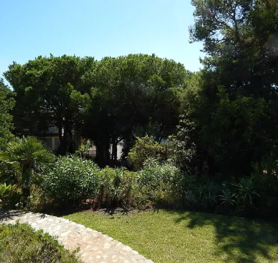 Продажа  жилого участка в Marbella