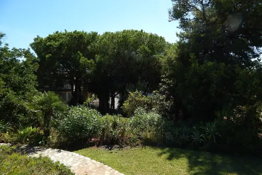 Image 4 thumb