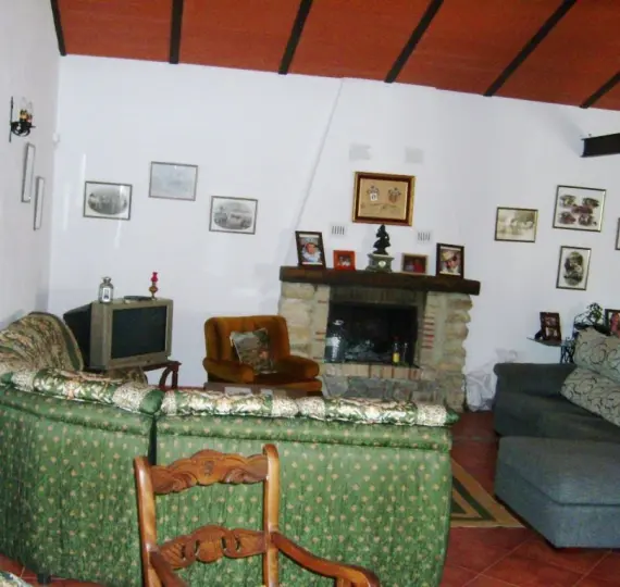 Продажа финки в Alora