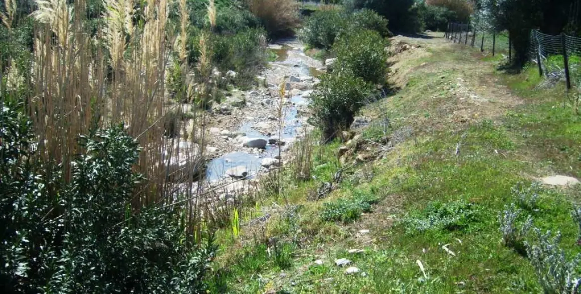 Продажа финки в Alora 16