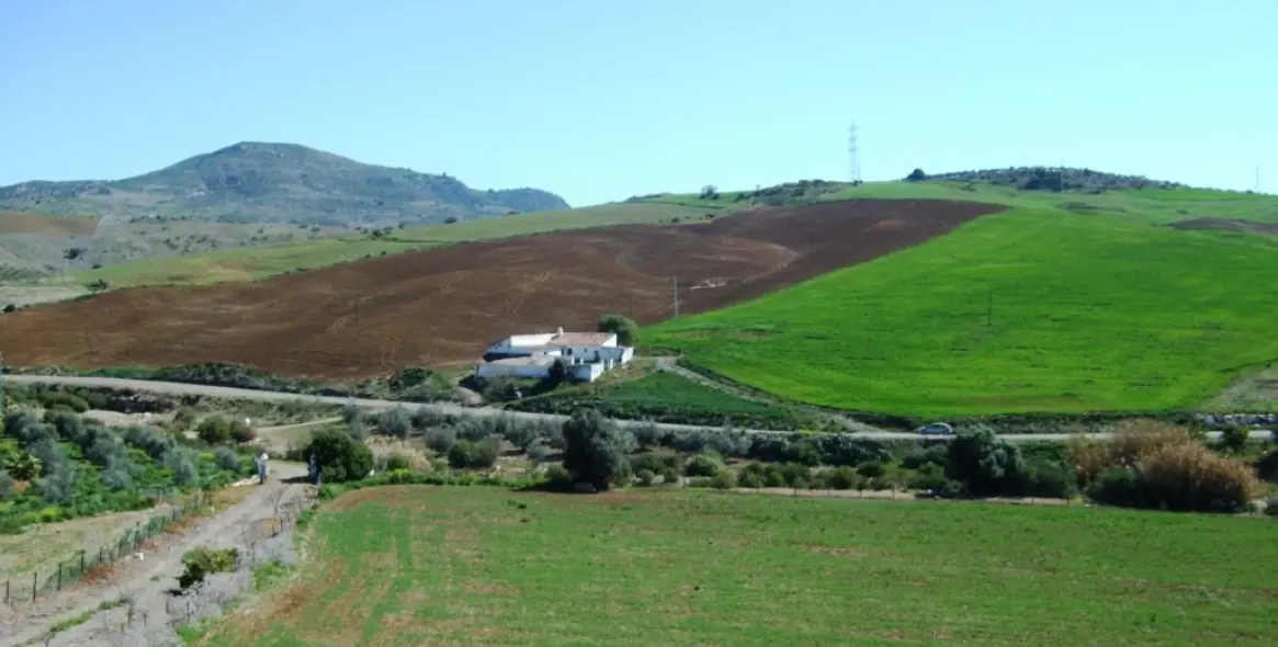 Продажа финки в Alora 17