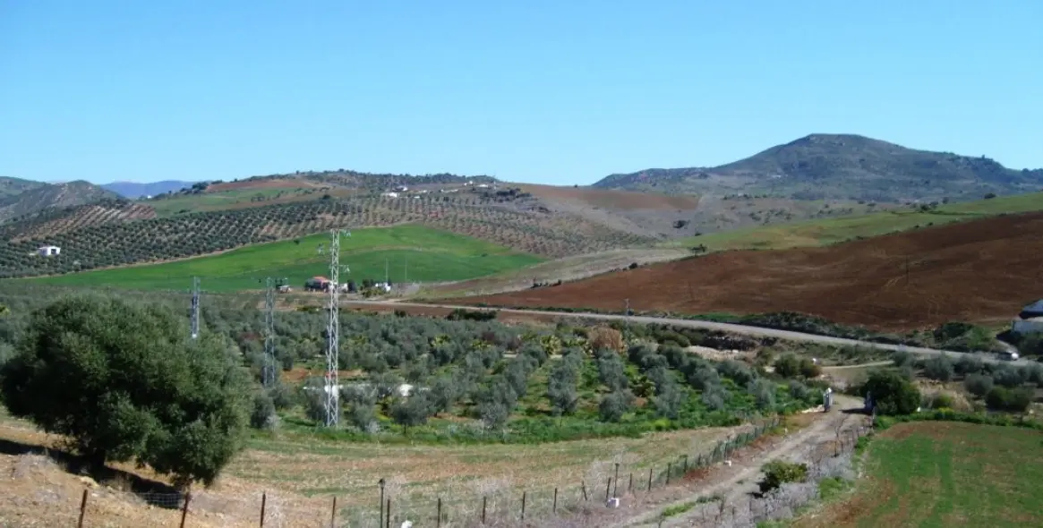 Продажа финки в Alora 19