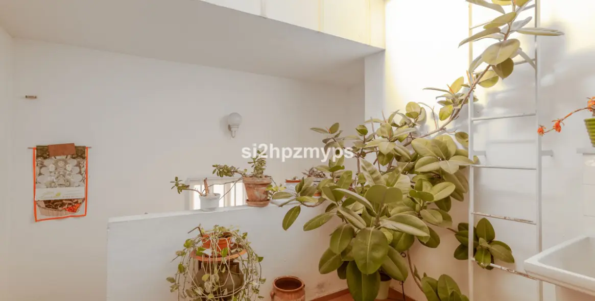 Sale of detached villa in Nerja 14