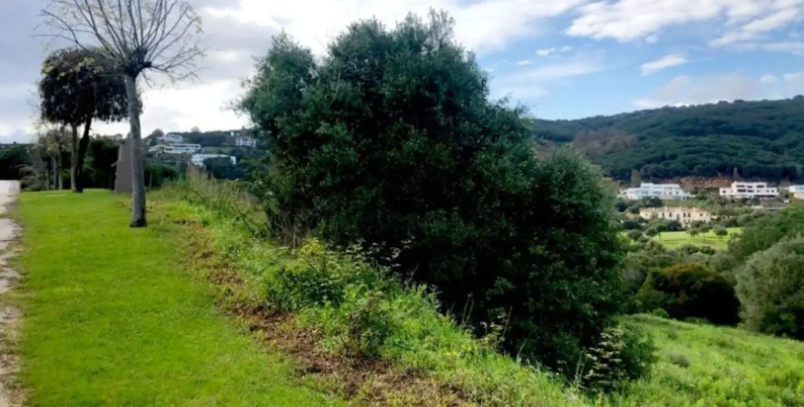 Venta de parcela residencial en Sotogrande 5