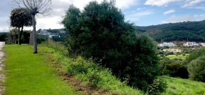 Venta de parcela residencial en Sotogrande 4