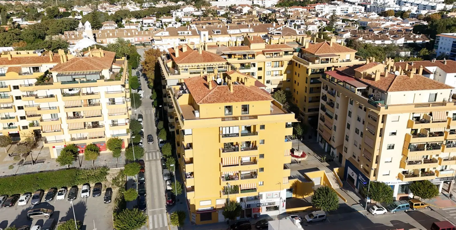 Venta de ático en San Pedro de Alcántara 7