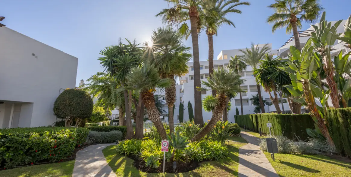 Sale of middle floor apartment in Nueva Andalucía 12