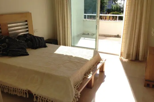 Image 4 thumb