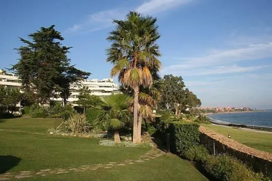 Image 9 thumb