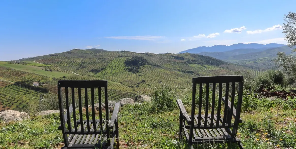 Sale of detached villa in Alozaina 2