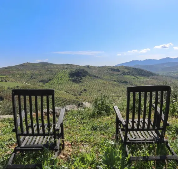 Sale of detached villa in Alozaina