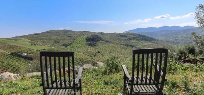 Sale of detached villa in Alozaina 1