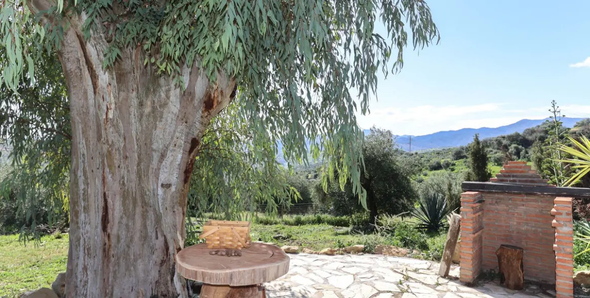 Sale of detached villa in Alozaina 9