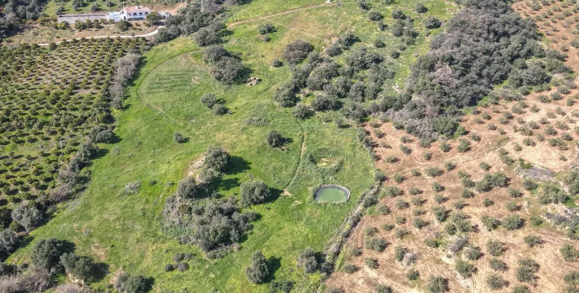 Продажа  отдельно стоящей виллы в Alozaina 55