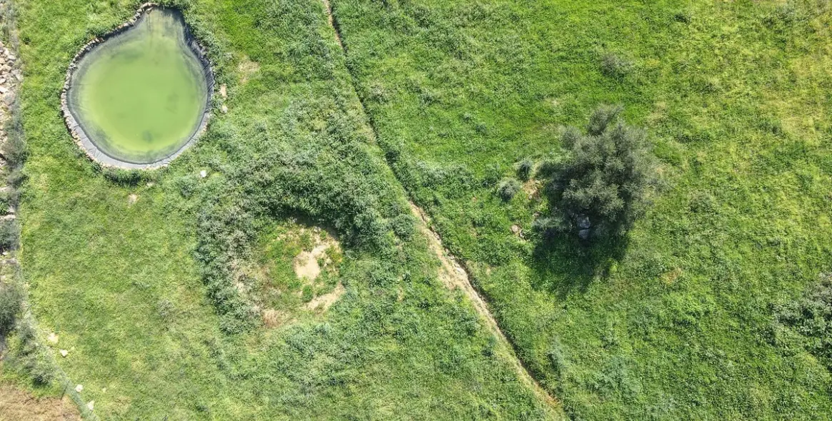 Продажа  отдельно стоящей виллы в Alozaina 56