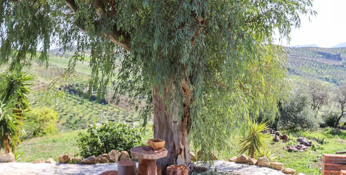 Sale of detached villa in Alozaina 75