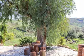 Image 76 thumb
