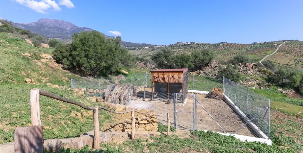 Sale of detached villa in Alozaina 80