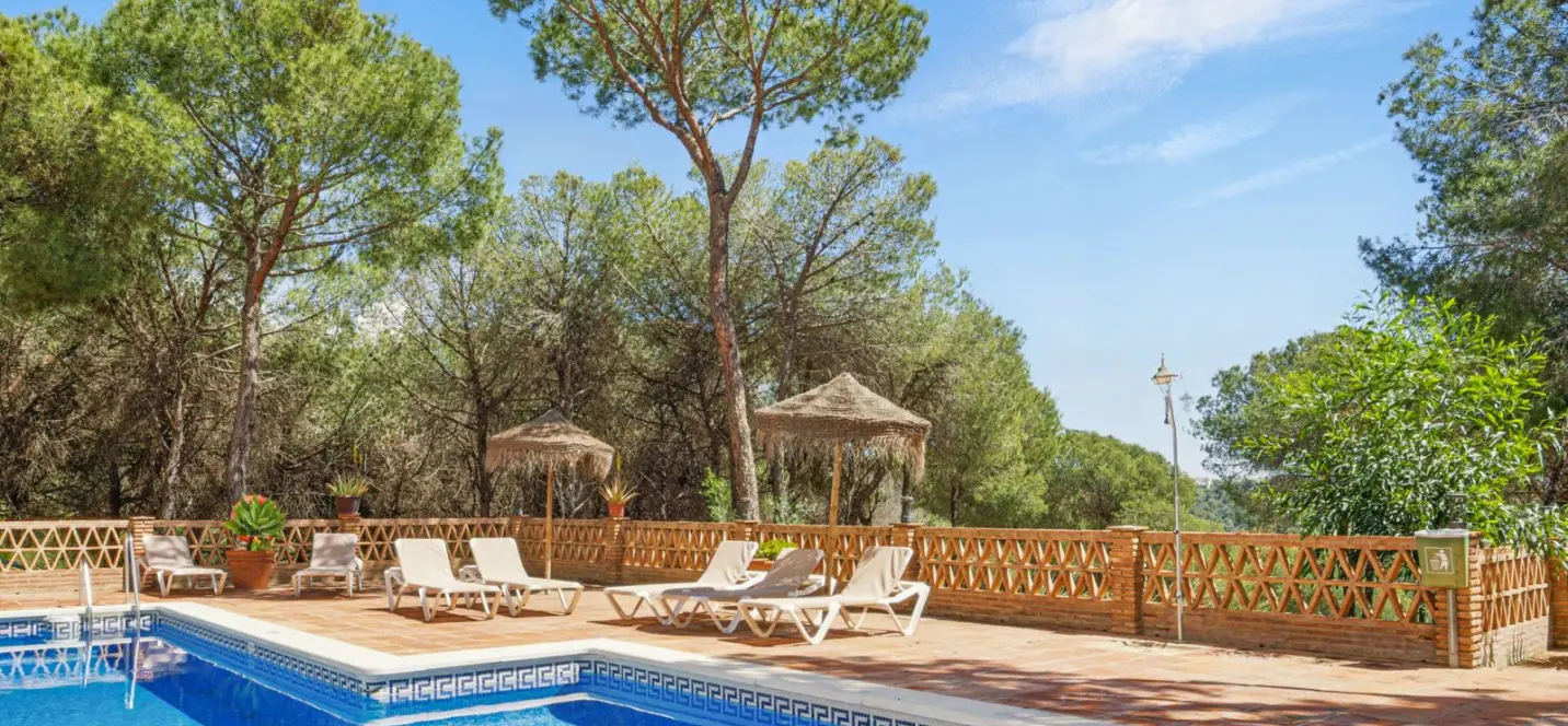 Sale of penthouse duplex in Nueva Andalucía 0