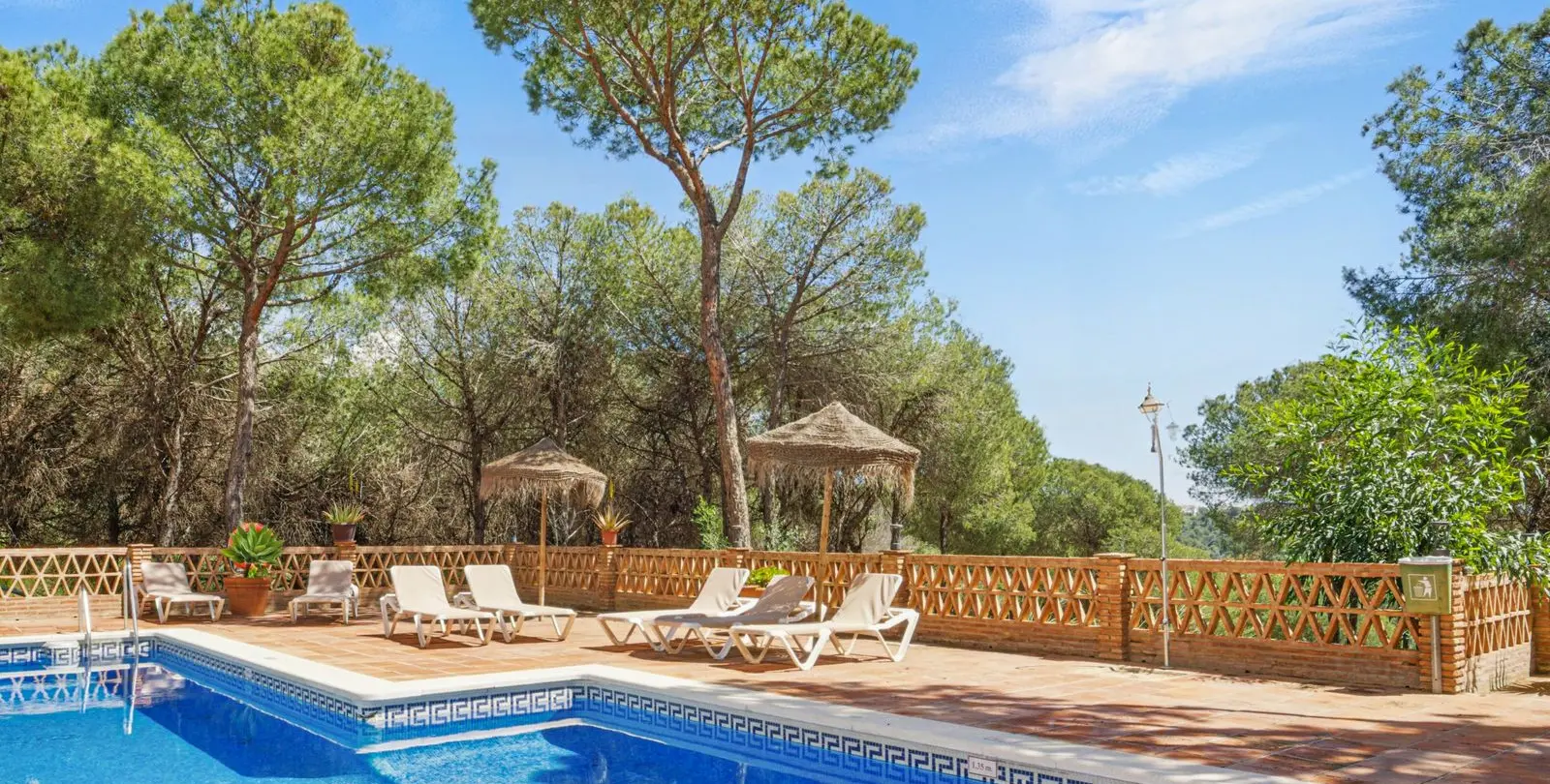 Venta de ático dúplex en Nueva Andalucía 1