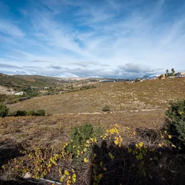 Venta de finca - cortijo en Manilva