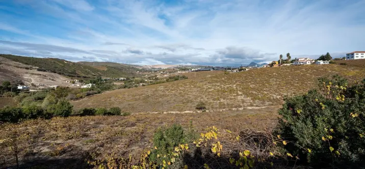 Venta de finca - cortijo en Manilva 2