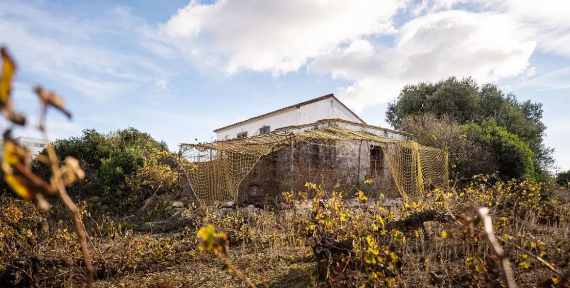 Venta de finca - cortijo en Manilva 9