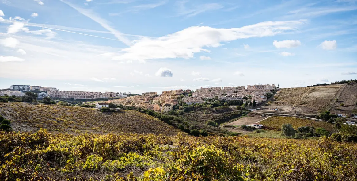 Venta de finca - cortijo en Manilva 11