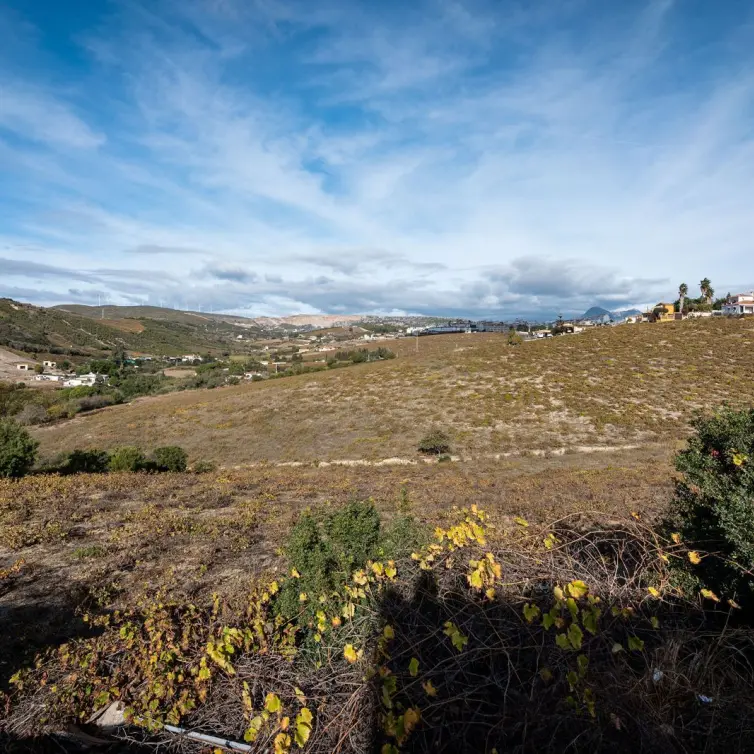Sale of finca - cortijo in Manilva