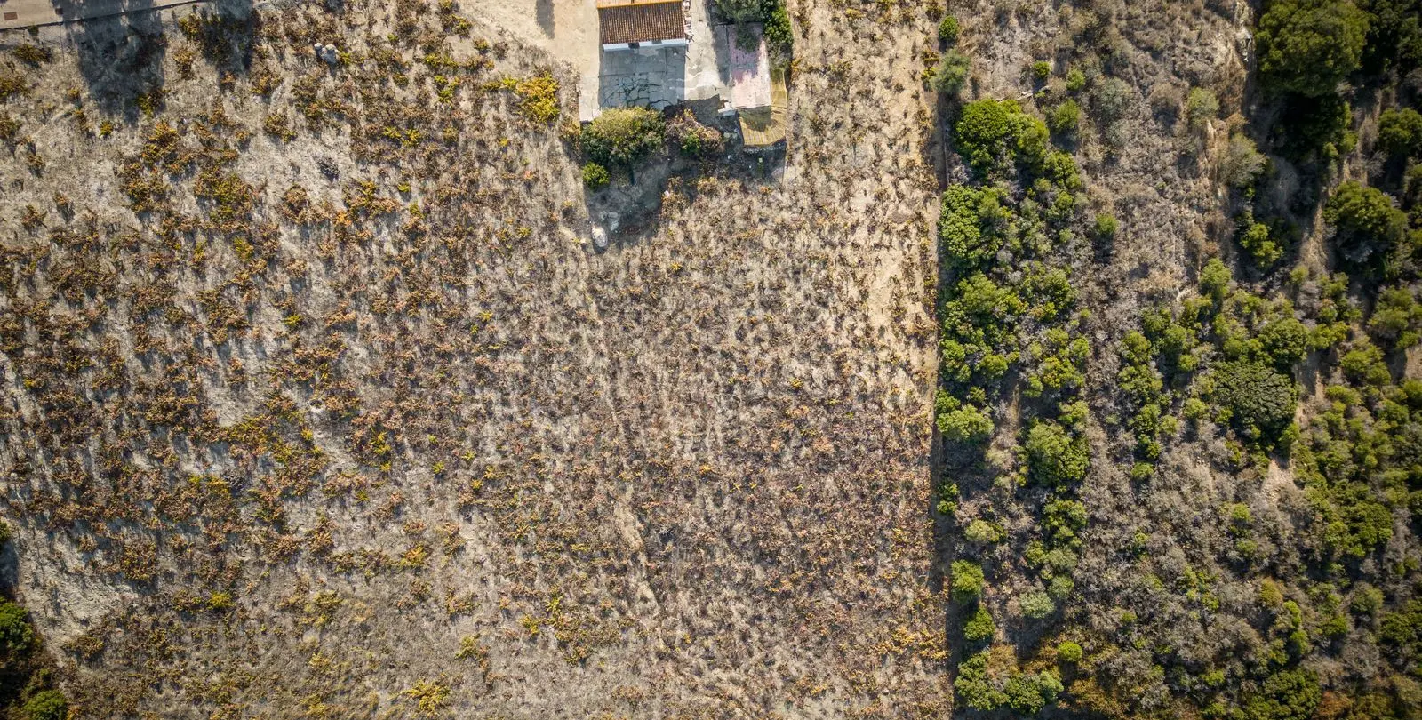 Sale of finca - cortijo in Manilva 5