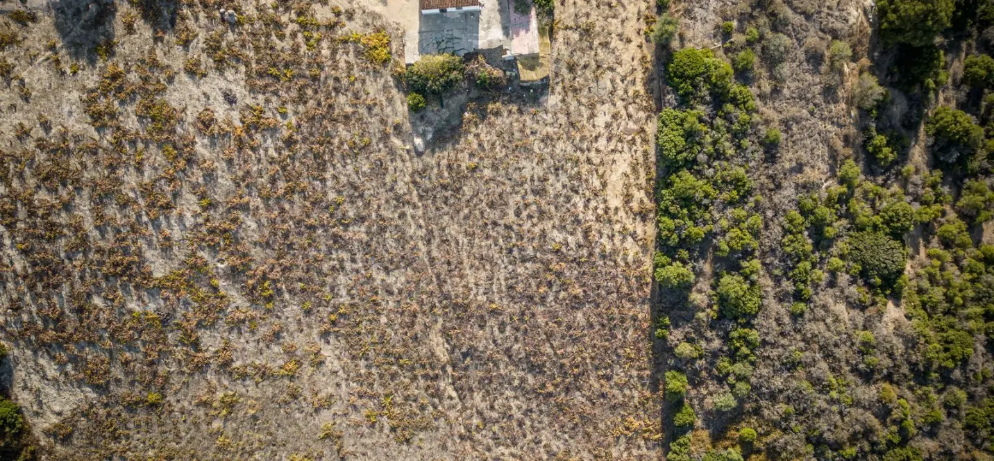 Sale of finca - cortijo in Manilva 4