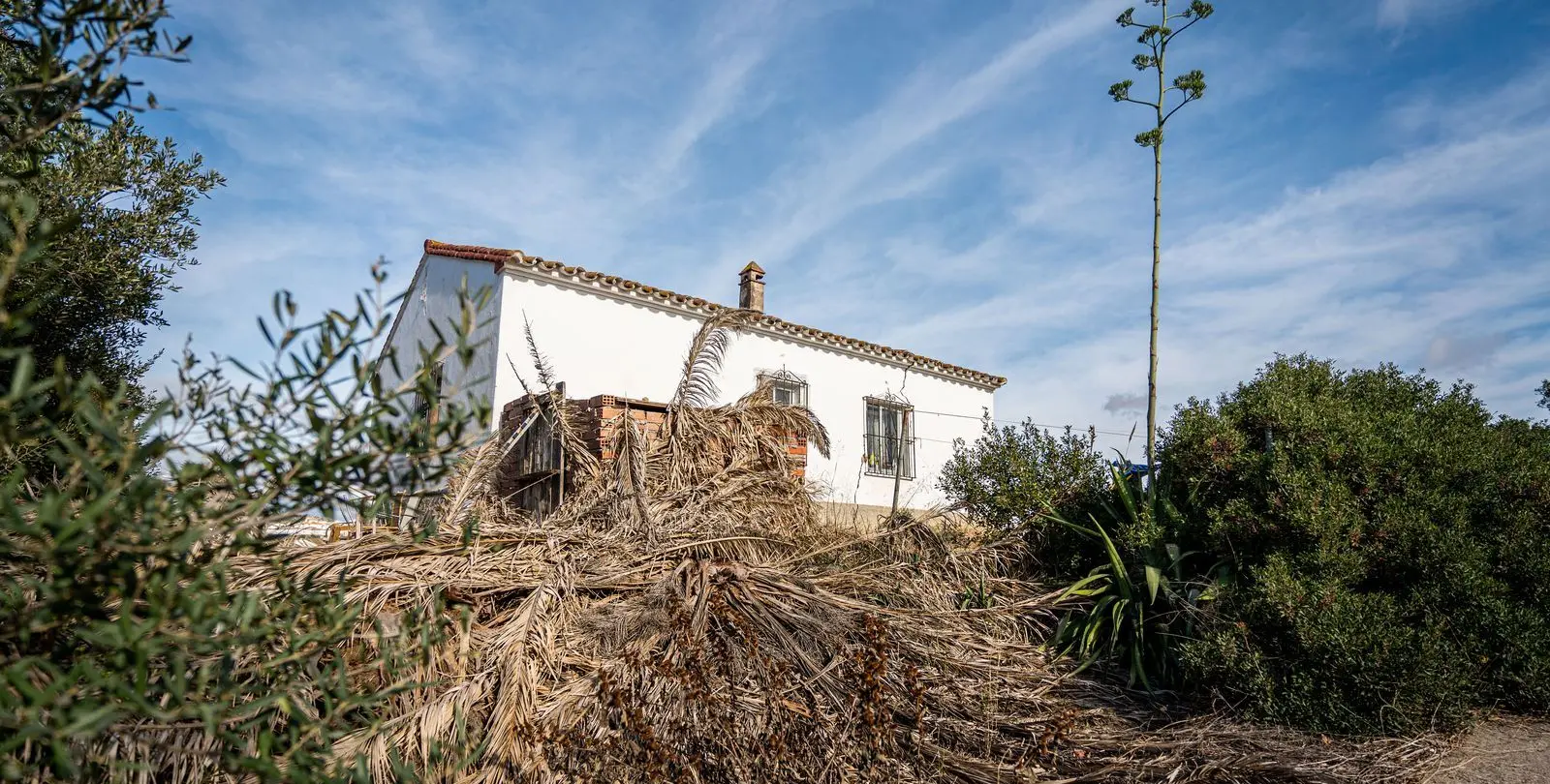 Sale of finca - cortijo in Manilva 8