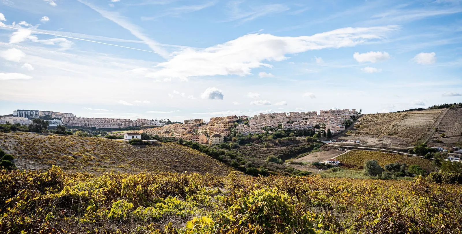 Sale of finca - cortijo in Manilva 11