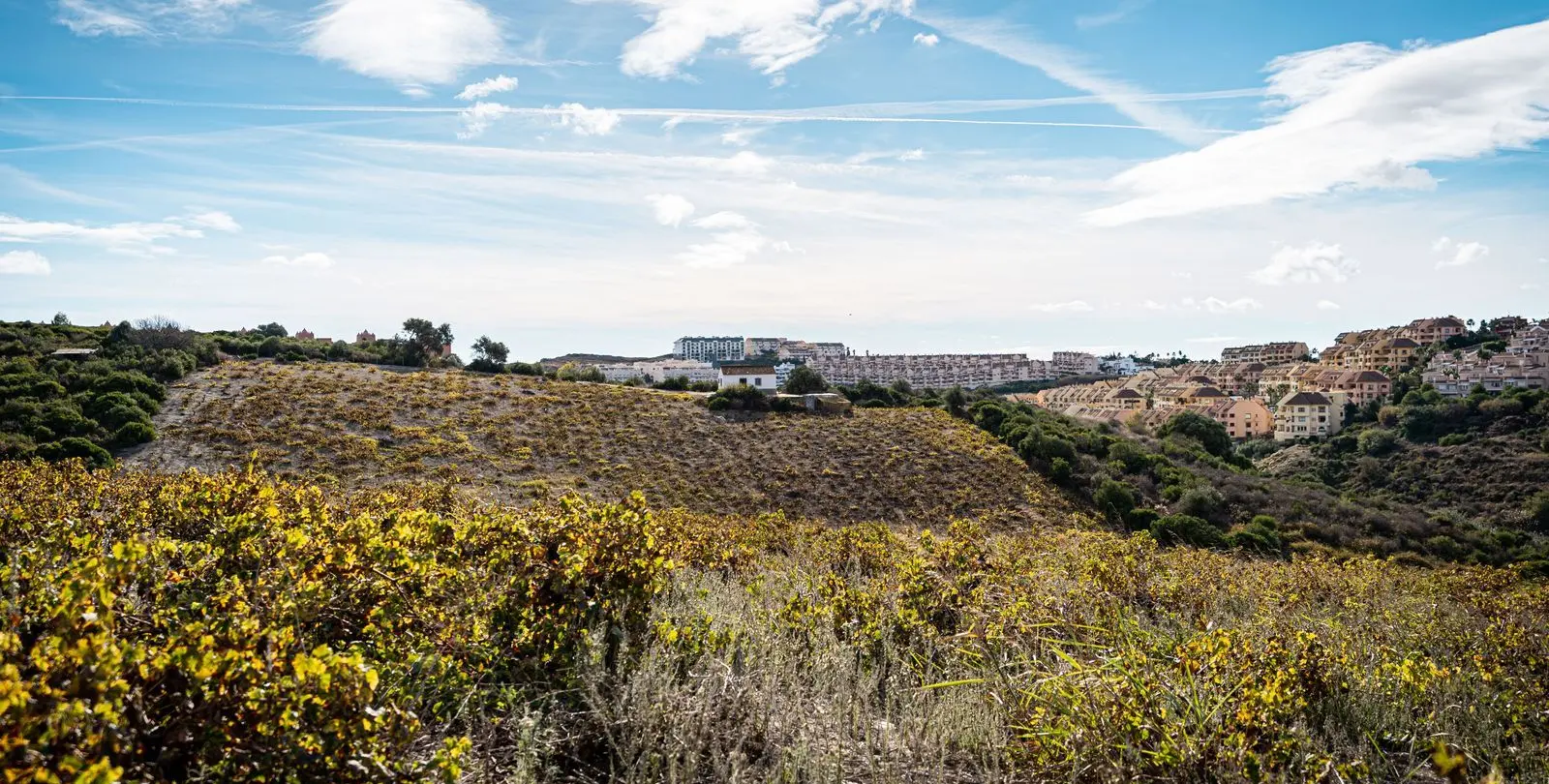 Sale of finca - cortijo in Manilva 12