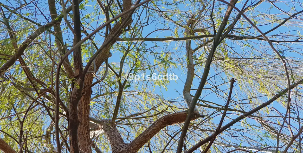 Sale of hotel in Valle de Abdalajis 37