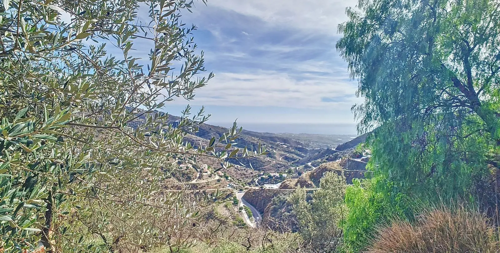 Sale of detached villa in Arenas 33