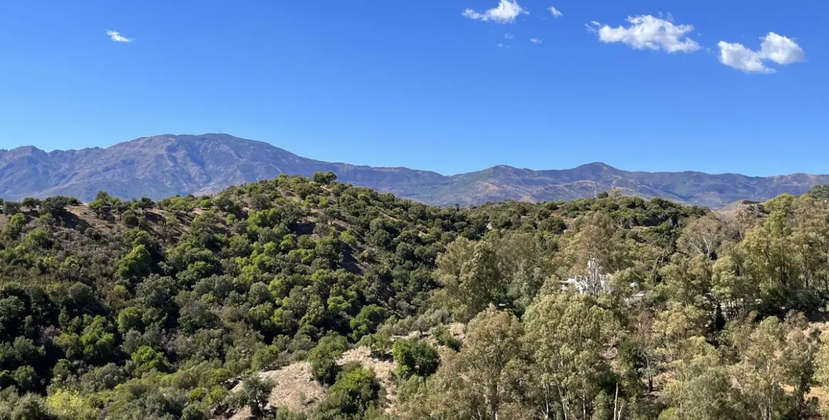 Продажа  жилого участка в Estepona (район Selwo) 1