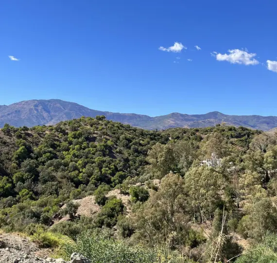 Жилой участок R4258564