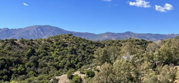 Жилой участок R4258564 0