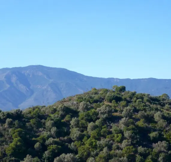 Жилой участок R4258564