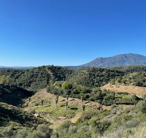 Жилой участок R4258564