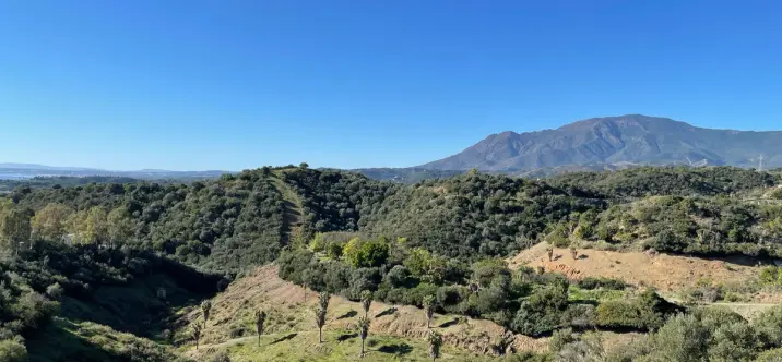 Жилой участок R4258564 2