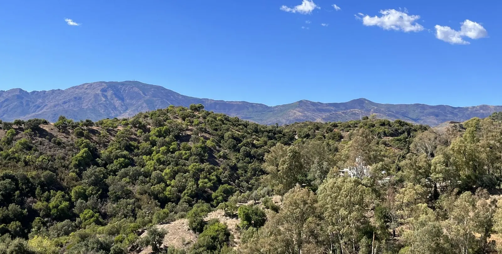 Venta de parcela residencial en Selwo 1
